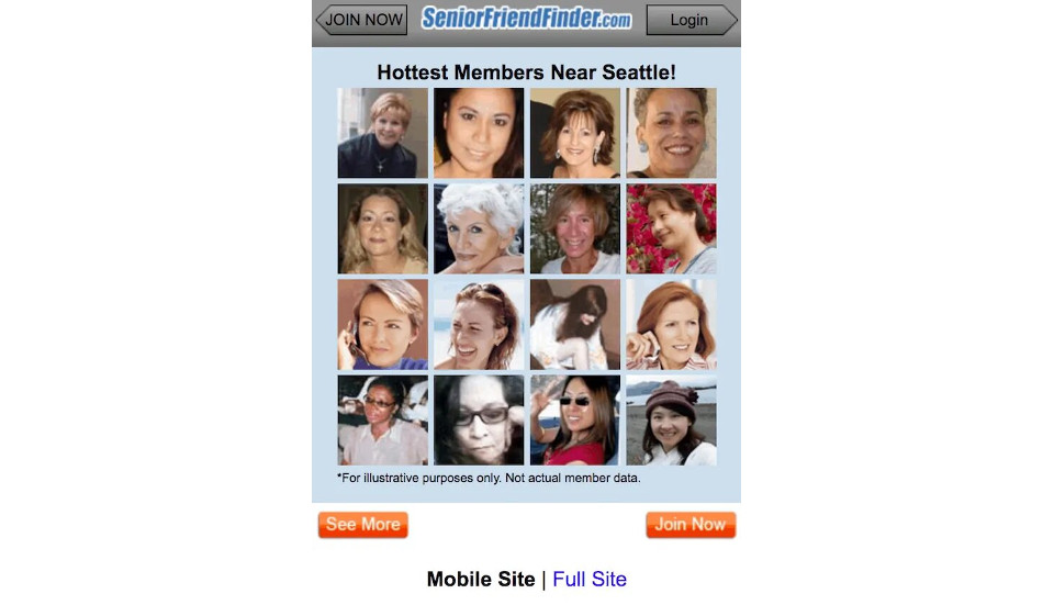 Senior Friend Finder Summary