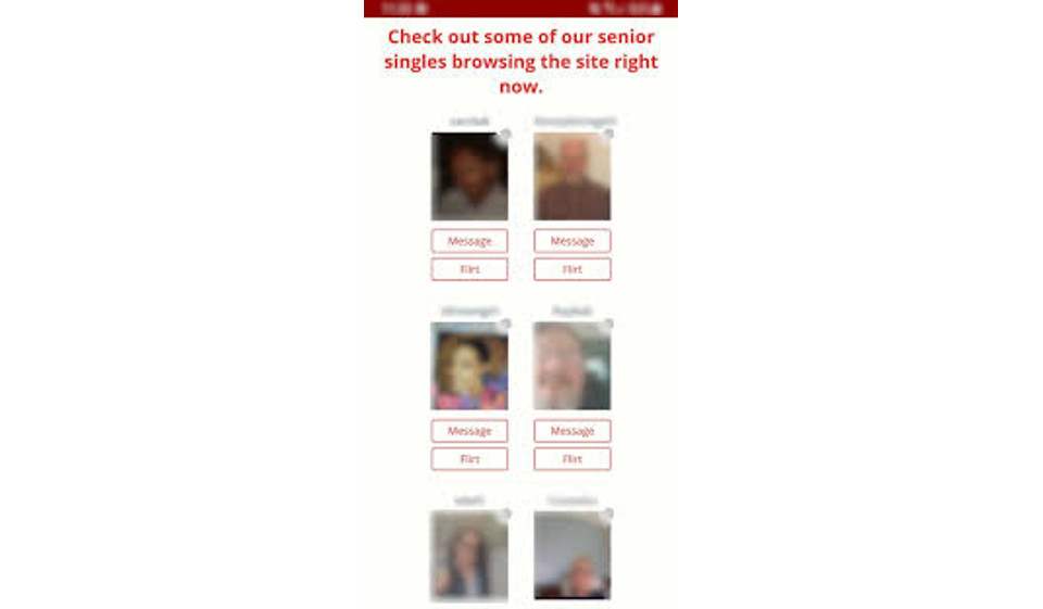Dating For Seniors